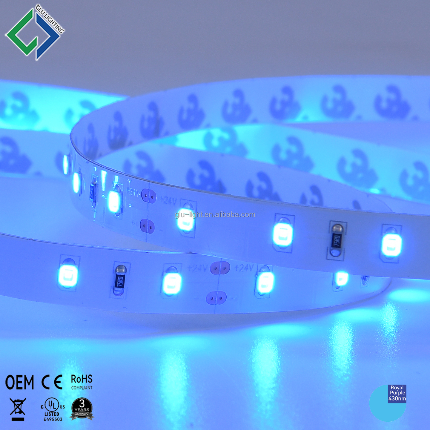 High Quality 24V 430nm LED Flex Strips ultra violet SMD2835 royal blue UV LED strip 430nm
