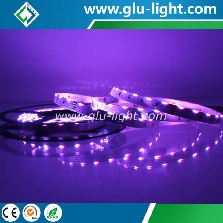 High lumen 020 sideview RGB color DC24V with 60 leds/m 